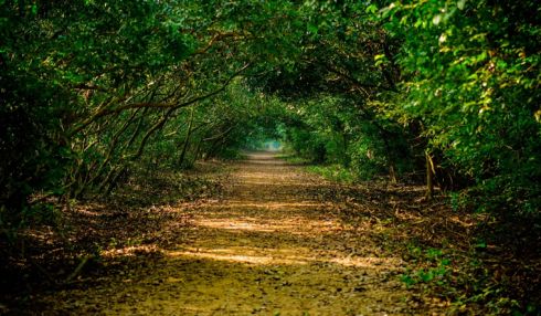 Odisha's national parks, wildlife sanctuaries are a delight to nature ...