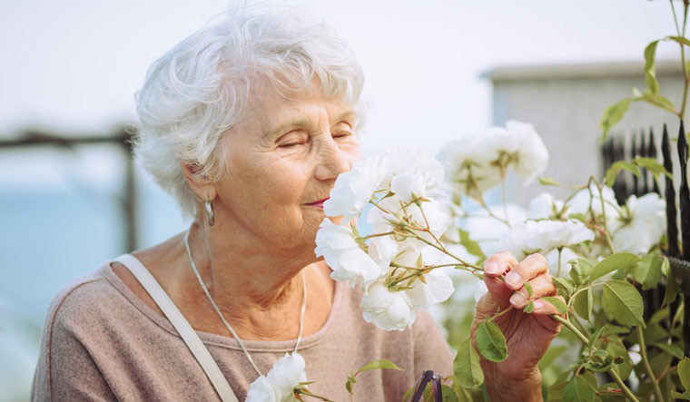 Harnessing the power of scent: Aromatherapy enhances memory in seniors ...