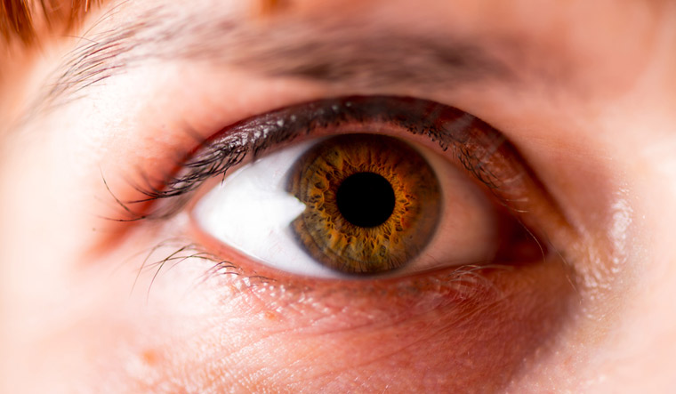 Blind people may 'see' with optic nerve stimulation- The Week