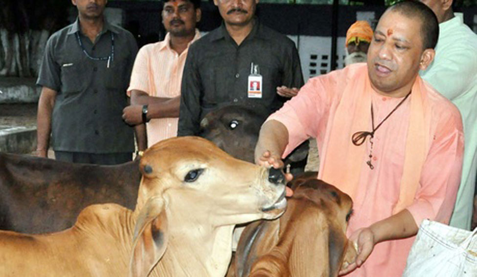 Adityanath promises increased security for cattle, monthly stipend of ...