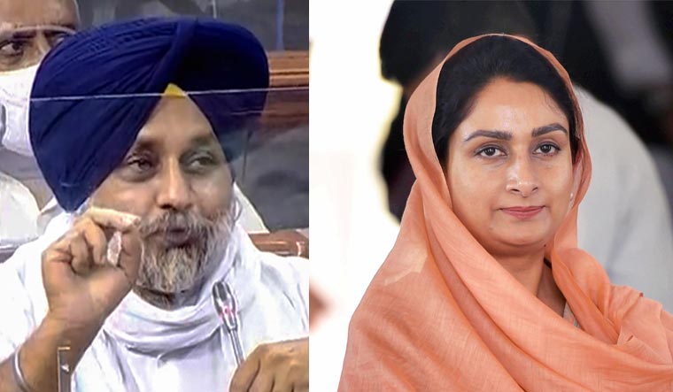 what-does-akali-dal-parting-ways-with-nda-mean-for-punjab-politics