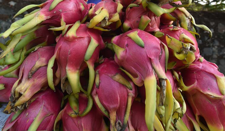 Gujarat govt renames dragon fruit as Kamalam- The Week