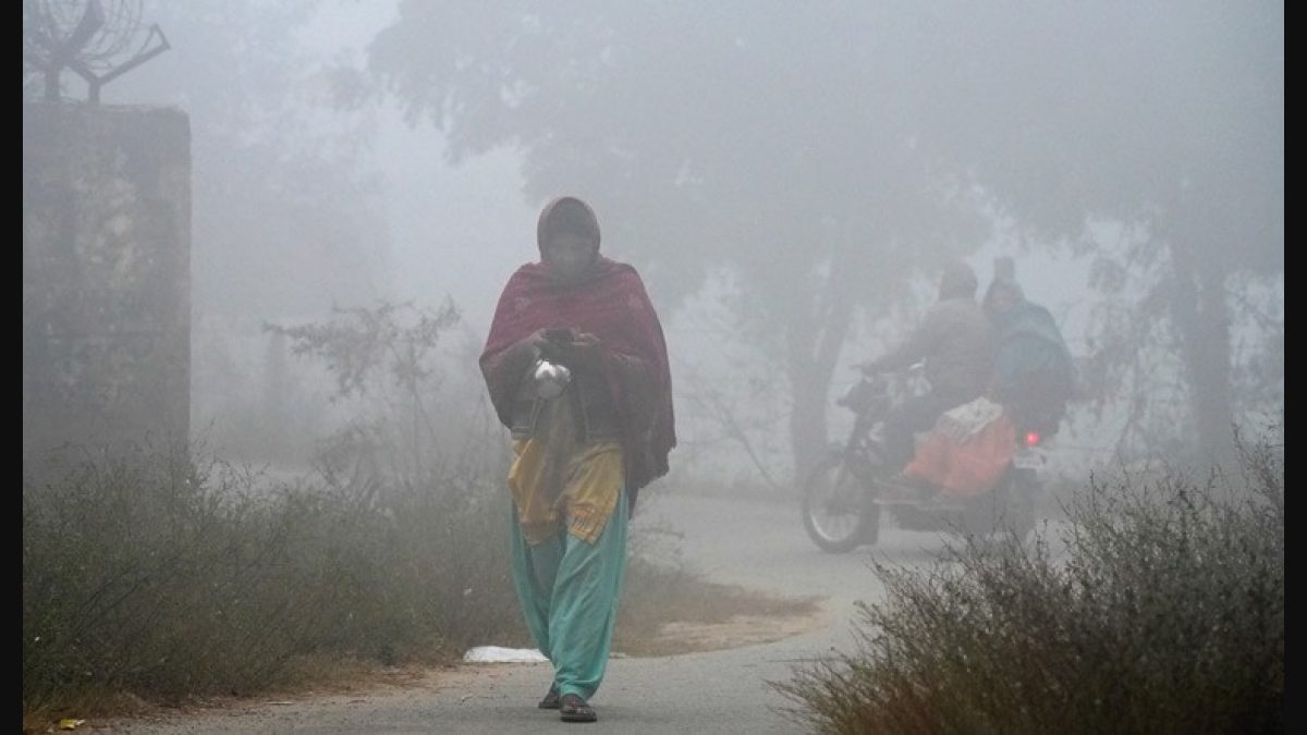 Cold wave to severe cold wave in Northwest India to continue for next three  days: IMD - Nagaland TribuneNagaland Tribune