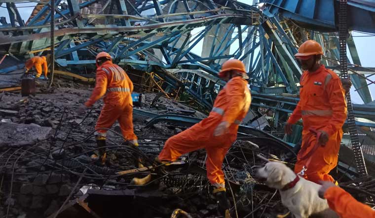 16 killed after giant gantry crane collapses at under-construction ...