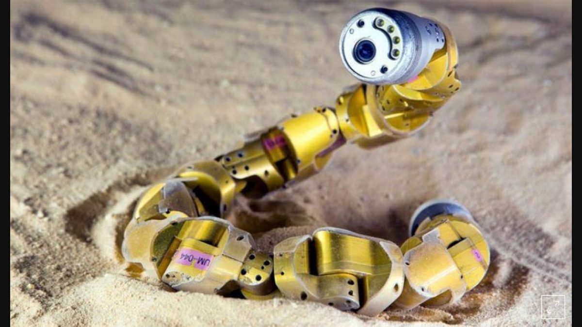 Scientists build robot snake that could help in disaster response, Robots