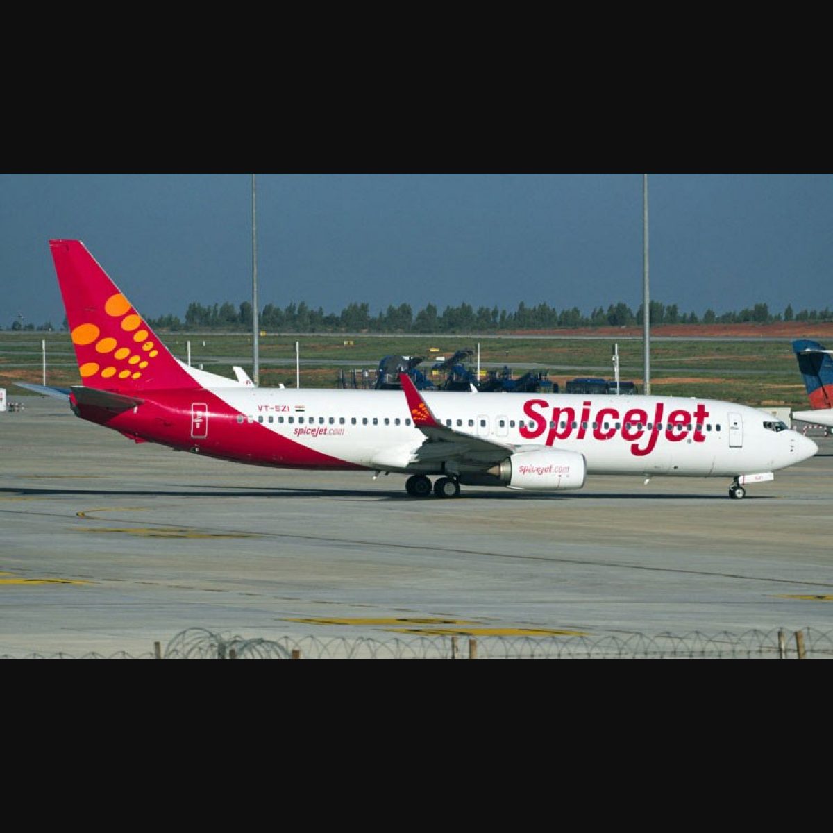 spicejet flight status