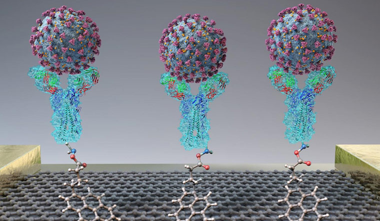 Antibodies that can block Omicron variant identified - The Week