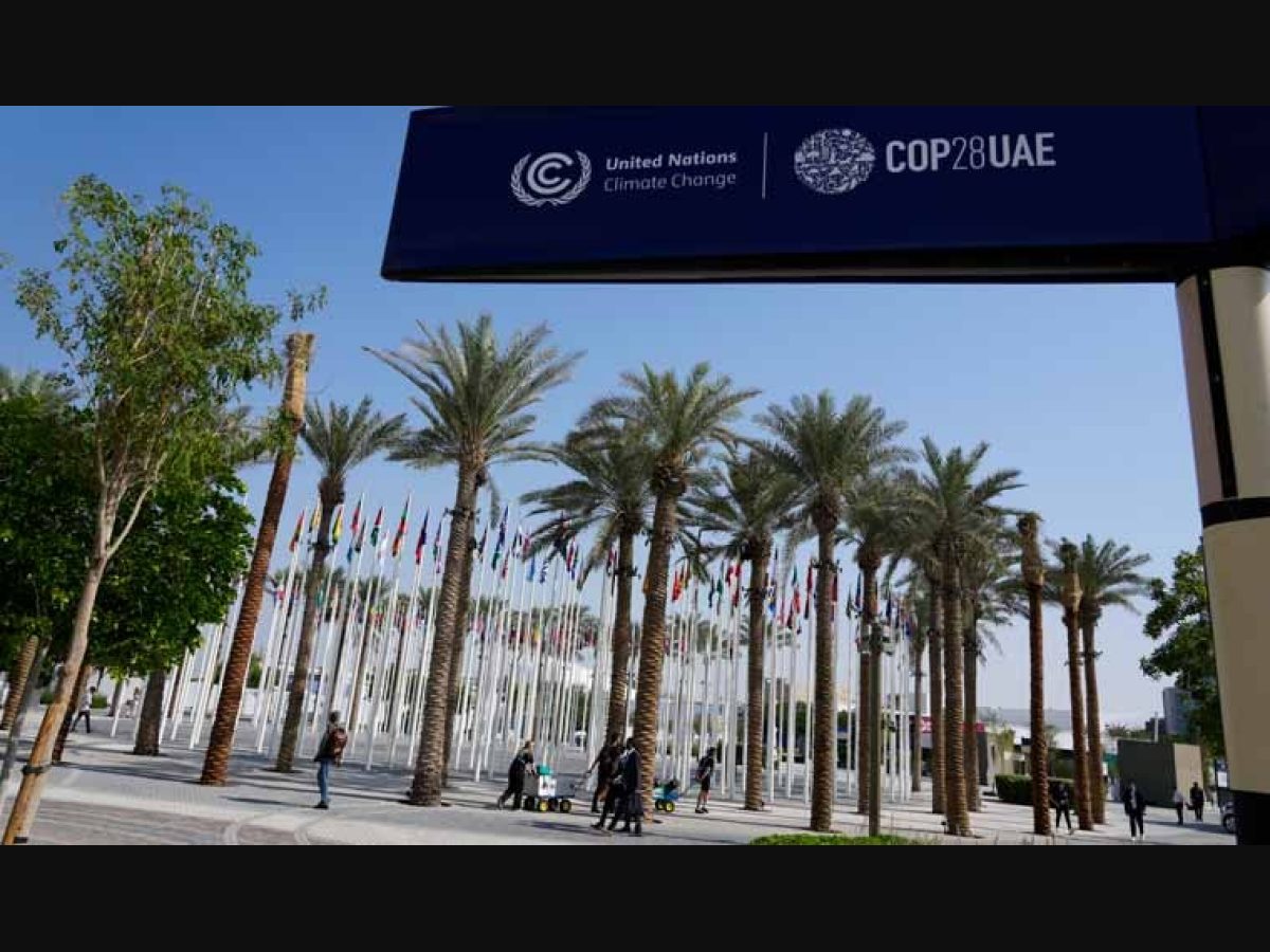 Was CoP-28 a cop-out or did the conference achieve something?